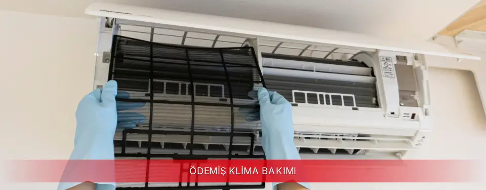 Ödemiş İlçemi ECA Klima Bakımı